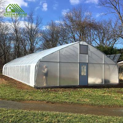 China Fruit Low Cost Single Tunnel Greenhouse Fruit Growing Tunnel Greenhouse For Sale for sale