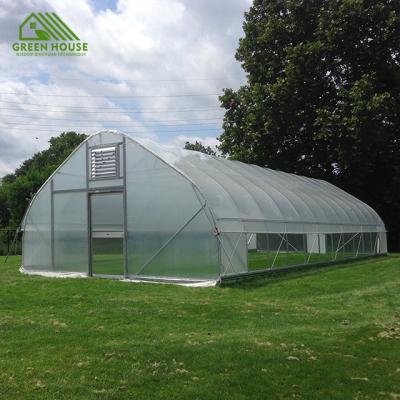 China Plant Growth Fruit Flowers Plastic Sheet Sawtooth Climate Control Greenhouse Tunnel Vegetable Greenhouse for sale