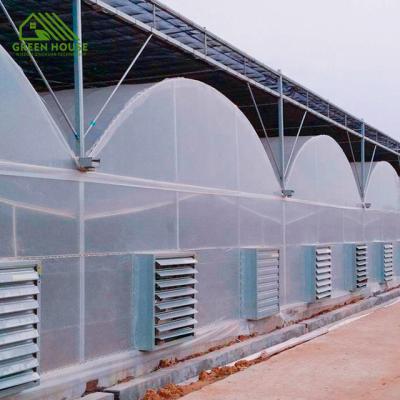 China Selling Cheap Multi-span Plastic Sheet Greenhouse Tunnel Greenhouse Hot Potato Growing PE Greenhouse for sale