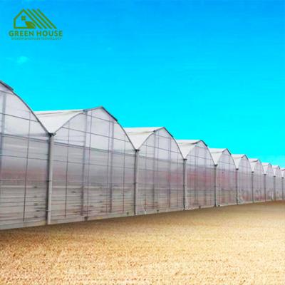 China PE manufacturers provide multi-span plastic film tunnel greenhouse with vegetables and eggplant planting greenhouse for sale