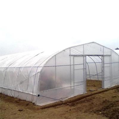 China Plant Growth Vegetables Tomatoes Potatoes Plastic Sheet Agricultural Greenhouse for sale