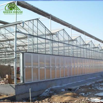 China Plant Growth Low Cost Printed Circuit Board Polycarbonate Medicinal Plant Hydroponic Greenhouse Multi-span Large Greenhouse for sale