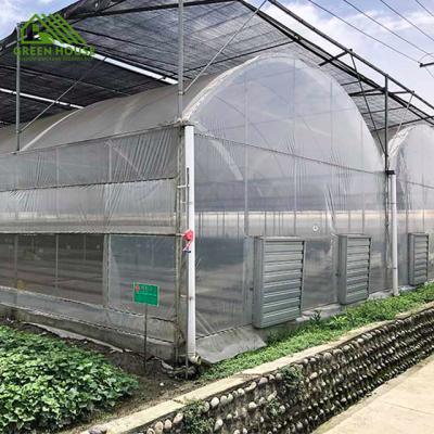 China PC Sheet Low Cost PC Vegetable Greenhouse For Sale Multi Span System PC Water Greenhouse Low Cost Hydroponic Greenhouse for sale