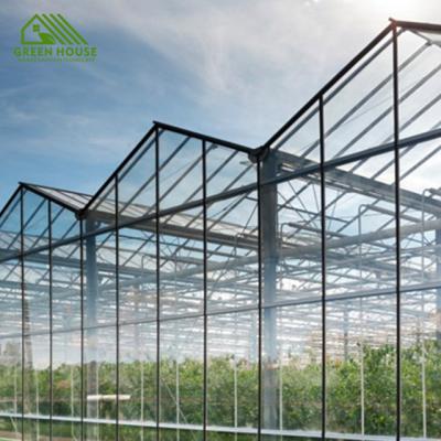 China Hydroponics Vegetable Plastic Greenhouse Polycarbonate Flower Fruit Plant Flowers Tunnels Greenhouse For Sale for sale