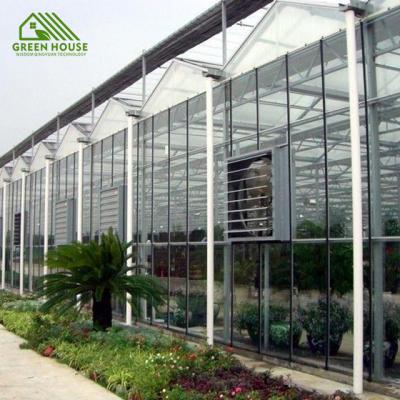 China Strawberry Horticulture Greenhouse Garden Hot Selling Galvanized Steel Glass Greenhouse for sale