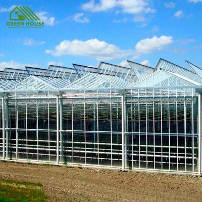 China Vegetable Fruit Flowers Double Layer Hydroponic Galvanized Steel Structure Float Glass Gree for sale