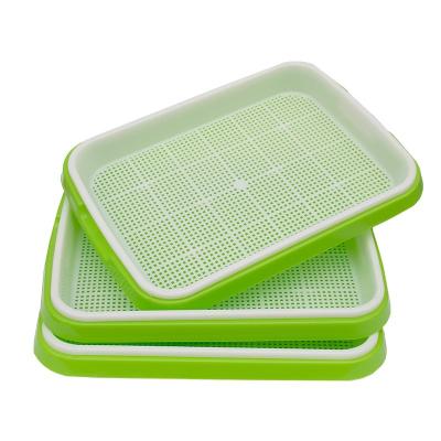 China Seed planting seed sprouter tray with molded plastic wheat lid pp material summer nursery trays for sale