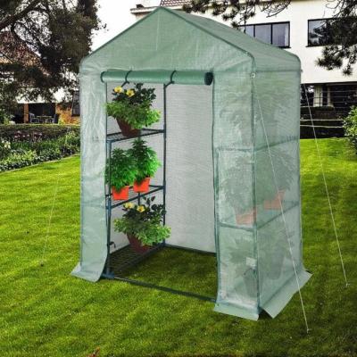 China Easily Assembled PE Cover Plant Garden Green House Planter Greenhouse for sale