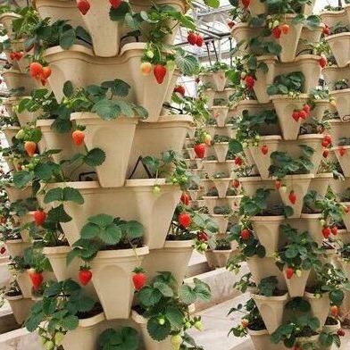 China Corrosion Resistance Vertical Garden Self Watering Planters Stacked Plastic Flower Pots for sale