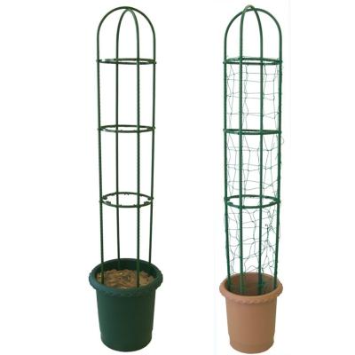 China Mediterranean Other Garden Supplies Vegetable Tool Plant Support Ring for sale