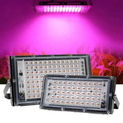 China Advantages Plant Growt LED Grow Light Phytolamp Plants Grow Light Flood Light 50w Full Spectrum 100w Led Grow Light Lamp for sale