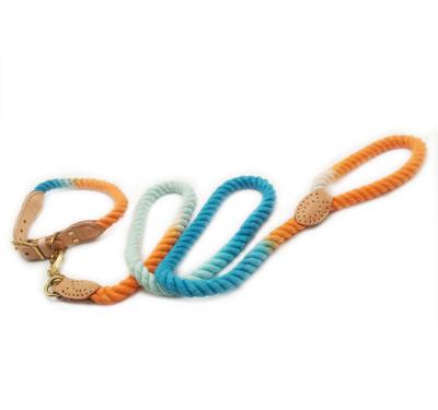 China Dog Training Pet Rope Multicolor Collar Dogs Comfortable And Durable Cotton Leash Provides Strong Basic Leashes for sale