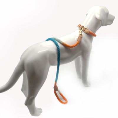 China Stocked Cotton Dog Leash Color Soft Leash 5FT Handle Lead Resistant Training Pull Braided Rope For Dogs for sale