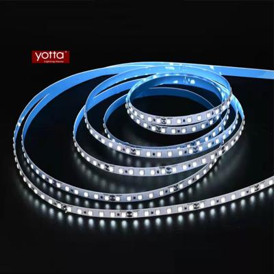 China China Indoor Good Quality 2400-6500K DC12/DC24V Led Strip Grow Led Lights 5 Meters for sale