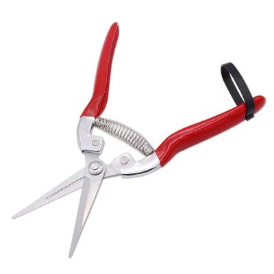 China Soft Anti-Slip Handle PVC Coated Handle Garden Shears Garden Branch Shears Diy Handmade Garden Shears for sale