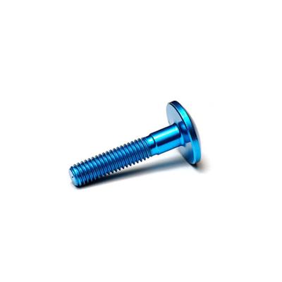 China Pan Made in China Torx titanium screw ISO 14583 din m6 m1.6x3 963 titanium screw for sale