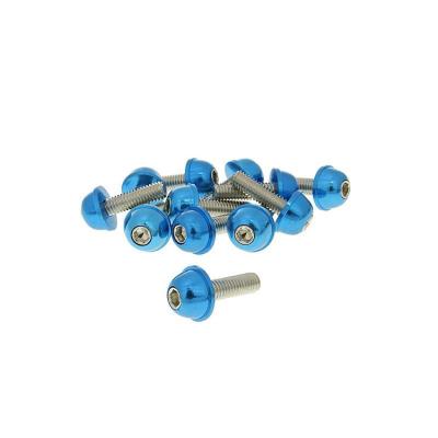 China M3 Blue Color Copper Pan Head Pan Head Screws Tapered Titanium Screw With Plastic Head for sale