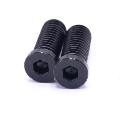 China Pan Precision Hex Socket Screw Nylon Stainless Steel Colorful Serface Finishing For Customer for sale