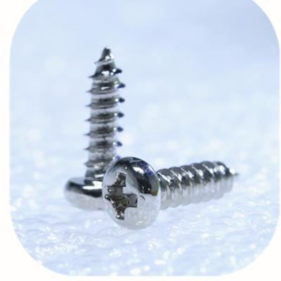 China SS304 Pan Screw Cross Pan Head Screw Washer Head Tapping Screw for sale