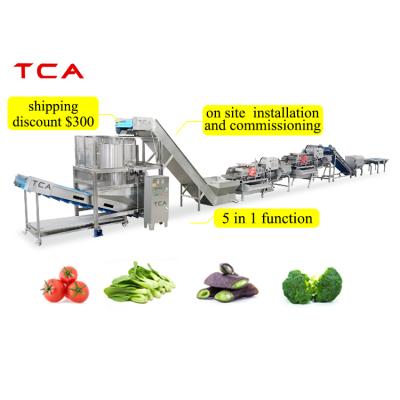 China Good quality TCA high productivity jelly vegetable processing line for sale