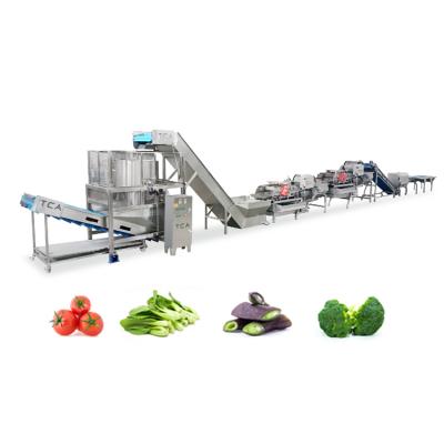 China Good Quality High Quality Frozen TCA Processing Line For Vegetables And Fruits for sale