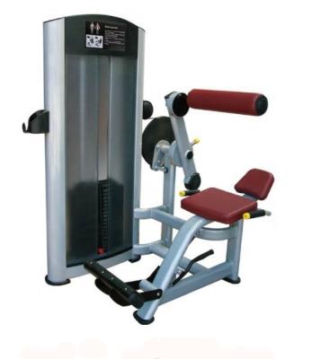 China Commercial Use Fitness Equipment Commercial Strength Back Extension Pin Loaded Equipment for sale