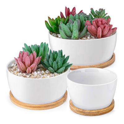 China Wholesale modern white ceramic planter pot porcelana de pra de suculentas de maceta de fioriera succulent plant pot with drainage and sauce for sale