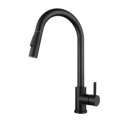 China Sense Faucets Modern Style 304 Stainless Steel Kitchen Faucets New Pull Out To Lower Kitchen Mixer Sink Faucet Sink Gold Kitchen Faucets for sale