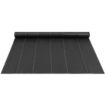 China Factory Sale Various Durable Black Anti Weed Mat Plastic Mulch Film Agricultural Plastic Plant Cover for sale