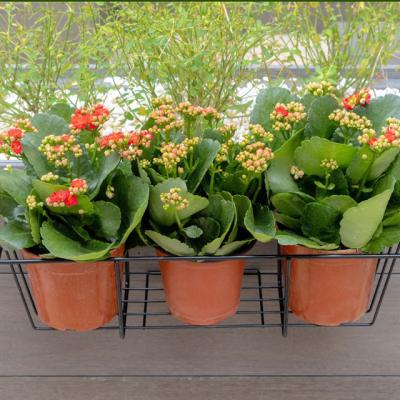 China Outdoor Balcony Flower Pot Rack Large Garden Flower Stand Flower Pot Modern Wall Mounted Rectangular Basket Rack for sale