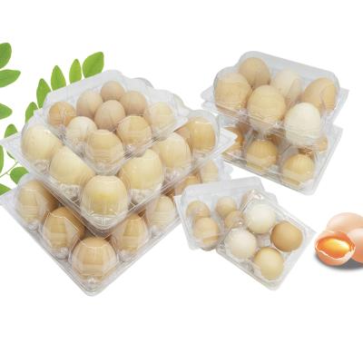 China Customizable Disposable PET Egg Carton Clamshell Tray Egg Container Clear Plastic Storage Box For Supermarkets for sale