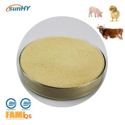 Chine SunAmy plus 10000u/g Ultrafine a saupoudré l'enzyme d'amylase de composé d'enzymes d'amylase à vendre