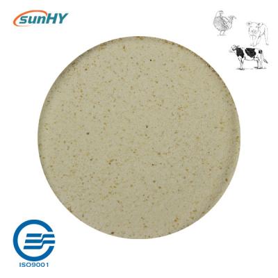 China Complex 20 Billion Cfu/G Probiotics For Animal Powder Form for sale