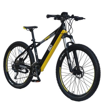 China Aluminum Alloy Tending Electric Bike From China With Conversion Kit Andbattery In Europa Market for sale