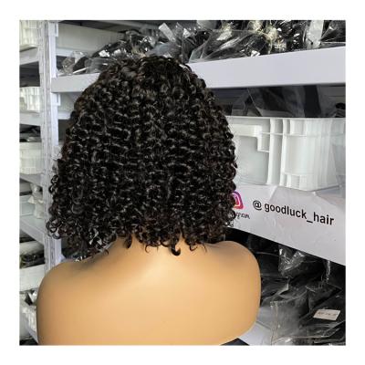 China Good Luck Wholesale Deep Curly Short Lead Hair Lace Front Wigs Brazilian Preplucked 13x4 13x6 Lace Front Wigs Deep Curly Transparent Lace Front Hair Wigs for sale