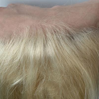 China 613 Blonde Wig Factory Price Wholesale Straight Hair HD Transparent Lace Headband 100% Straight Wigs for sale