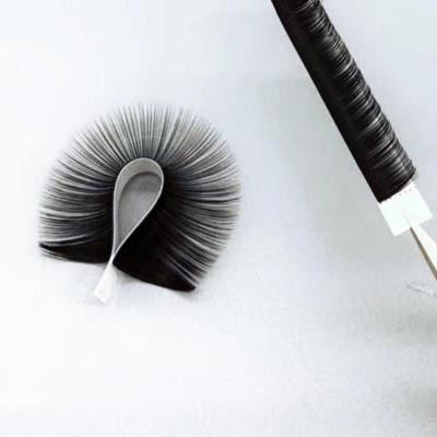 China Soft And Comfortable High Quality Classic Easy Fan Fiber Mink Fluffy Volume Eyelash Extension Lashes Trays for sale