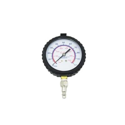 China Car Inspection Guaranteed Unique Quality Fuel Injection Gasoline Pressure Gauge Test Kit for sale