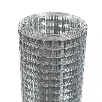 China 2021Excellent Plain Weave Fence Iron Wire Mesh /Galvanized Welded Wire Mesh for sale