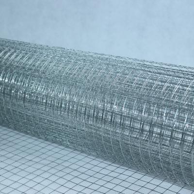 China Plain Weave YongWei 2x2 Hot Dipped Galvanized Welded Wire Mesh Panel for sale