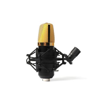 China Handheld microphone studio recording microphone, condenser microphone for studio recording for sale