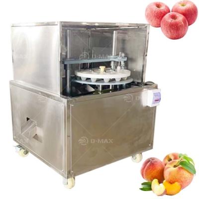 Chine Machine à éliminer les pierres de cerisier pour l'industrie de la transformation des fruits à vendre