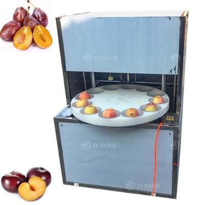 China Restaurant Supply Apricot Haw Jujube Cherry Olives Plums Apples Seed Removing Machine for sale