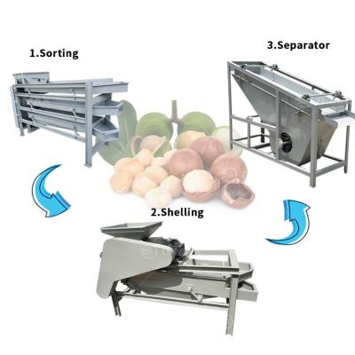 China Online Support and Video Technical Support for Mini Hot Peanut Peeling Machine for sale