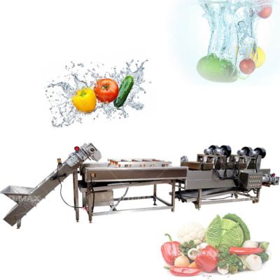 China 250 KG Food Shop Vegetable Cleaning Cutting Mixed Vegetables Salad Making Machine for sale