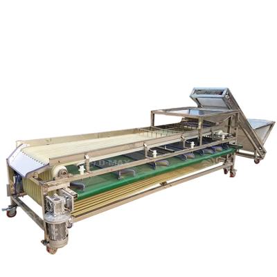 China Goed functionerende Passion Fruit Grading Machine voor de vereisten van de fruitverwerking Te koop