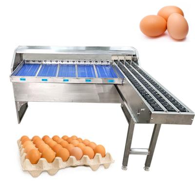 China Electronic Poultry Farm Machinery Egg Grading Machine 200W Duck Egg Sorting Classifier for sale