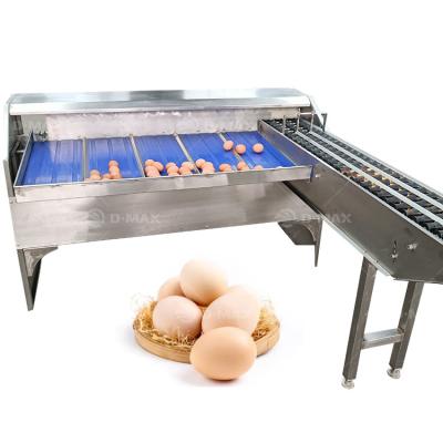 China High Productivity Egg Weight Sorting Machine for Chicken Farm Improved Egg Processing for sale