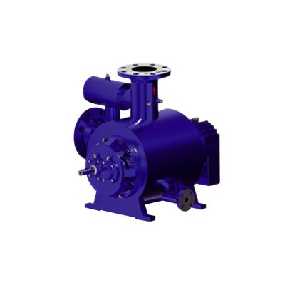 China S.M. Twin Screw Pump new special mechanical pump structure design hign failure rate and quality low operats risk free for sale