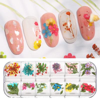 China Real dry flowers/leaves DIY real nail lace flower leaf small flower nail sticker nail art decoration for sale